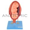 Gravidez luxo, com 8 Fases - Código:TZJ-0200 - Marca: Anatomic - Imagem 9
